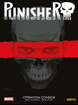 cover image of Punisher 1